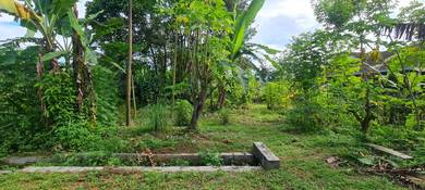 Lot tapak rumah slim river