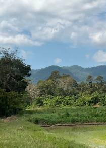 Residential-Land-for-sale-Tanah-Merah-Kelantan