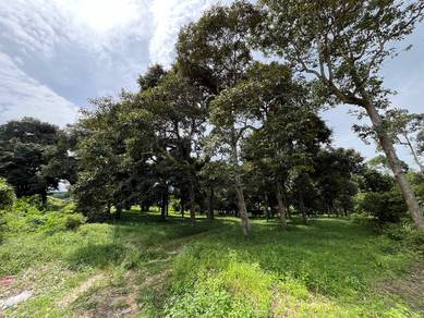Agricultural-Land-for-sale-Salak-Tinggi-Selangor