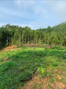 Glamping Land for Lease – Near Gunung Datuk, Kampung Miku Lama, Rembau