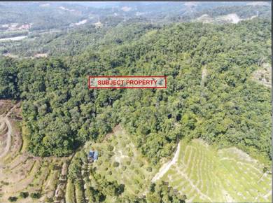 Agricultural-Land-for-sale-Bentong-Pahang