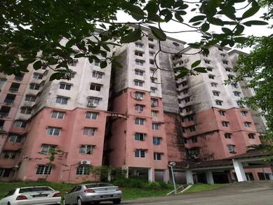 Apartment Buginvilla C.h.e.a.p Bukit Beruntung Tmn Bunga Raya