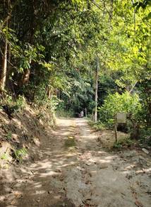 8.9 Acres Durian Orchard Land at Teluk Bahang in Penang Island