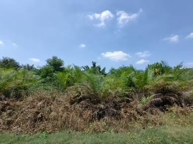 Industrial-Land-for-sale-Banting-Selangor-1