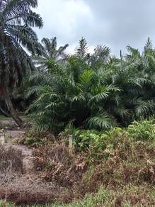 Industrial-Land-for-sale-Banting-Selangor-2