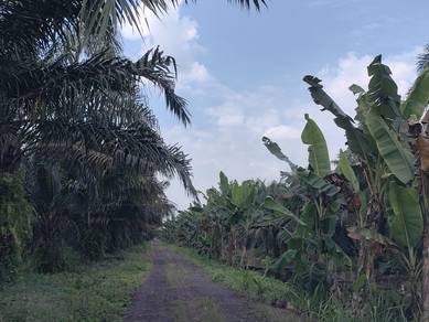 Industrial-Land-for-sale-Dengkil-Selangor-3