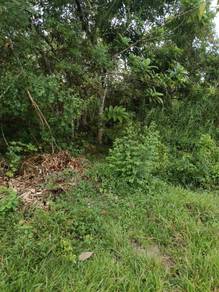 Agricultural-Land-for-sale-Balik-Pulau-Penang