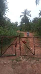 OIL PALM ESTATE LAND FOR SALE - Port Dickson, Negeri Sembilan