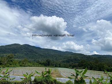 Agricultural-Land-for-sale-Rembau-Negeri-Sembilan