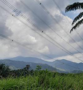 Tanah view bukit bakau & anak sungai jernih di Tanjung Malim Perak