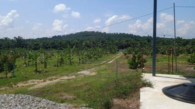 Agricultural-Land-for-sale-Raub-Pahang