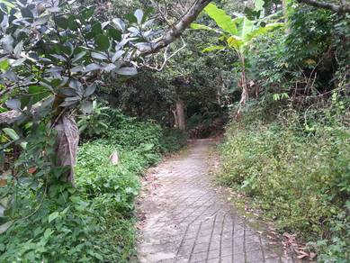 Agricultural-Land-for-sale-Balik-Pulau-Penang