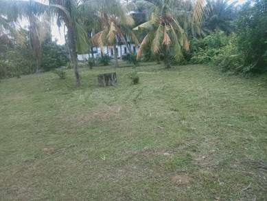 Agricultural-Land-for-sale-Sungai-Pelek-Selangor