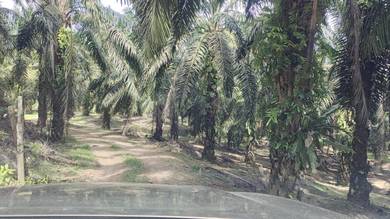 2 acres Sungai Tiram, Freehold,Sungai Redan,Ulu Tiram