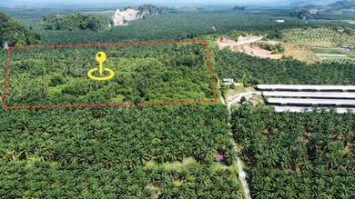 Agricultural-Land-for-sale-Sungai-Siput-Perak