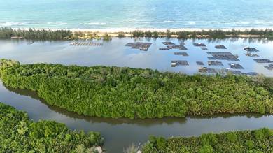 Pulau Che Him Setiu Wetland Terengganu 2.3 acre