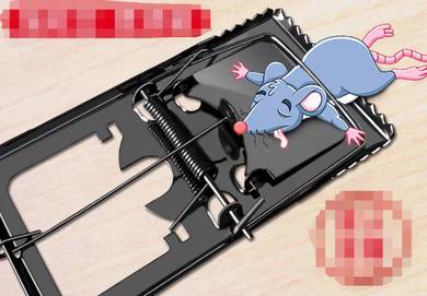 Perangkap tikus ( mati ) / mouse trap