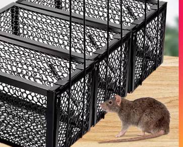 Perangkap tikus ( jaring hitam ) / mouse trap
