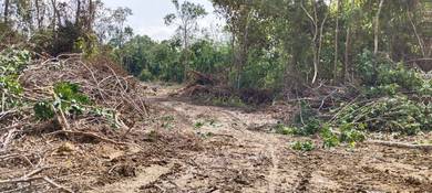 Agricultural-Land-for-sale-Lanchang-Pahang