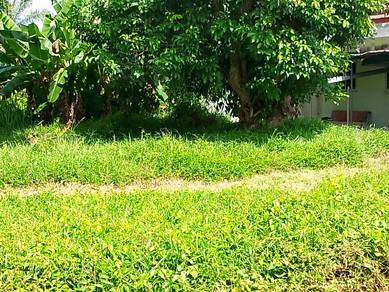 Agricultural-Land-for-sale-Banting-Selangor