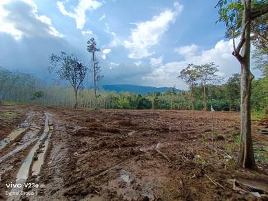 Agricultural-Land-for-sale-Sik-Kedah