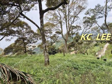 Agricultural-Land-for-sale-Kulim-Kedah