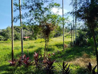 Industrial-Land-for-sale-Padang-Terap-Kedah-3