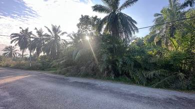 Agricultural-Land-for-sale-Kuala-Linggi-Melaka