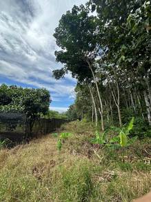 Agricultural-Land-for-sale-Slim-River-Perak