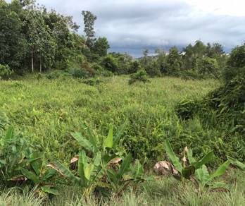 Tanah Rata Mandahan Papar - 1.6 acre - 6 mins ke Pan Borneo🔥