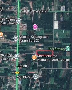 Agricultural-Land-for-rent-Kuala-Selangor-Selangor