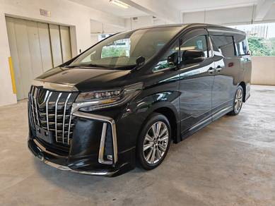 Toyota ALPHARD 2.5 S TYPE GOLD, Modelista Kit