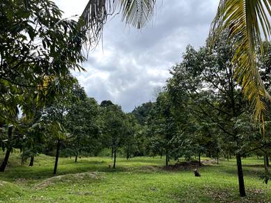 DUSUN DURIAN 2 ekar Freehold tepi Highway LEKAS 5km ke Toll PAJAM N9