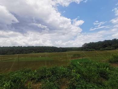Seelong Senai Agriculture Land 11.5 acres For Sale Zoning Industry