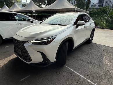 Lexus NX250 2.5 LUXURY 360 P/Roof H/Up Displ