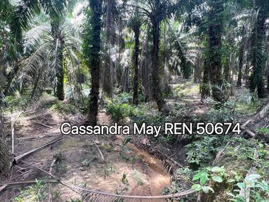 Freehold Alor Gajah Machap Umboo Nearby Residential Area