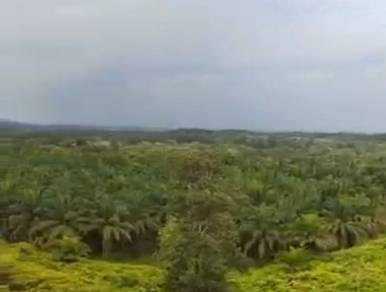 Sedenak Kulai 1100acres Commercial Land For Sale