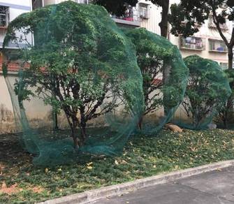 PE net / pukat jaring burung 2.5m x 6m
