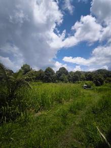 Agricultural-Land-for-sale-Bentong-Pahang
