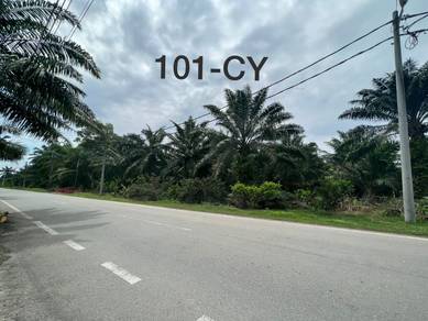 Industrial-Land-for-sale-Banting-Selangor-1