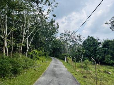 Freehold oil palm Jasin for sale