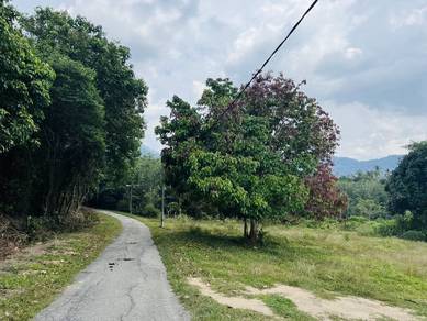 Freehold oil palm Jasin for sale