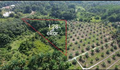Agricultural-Land-for-sale-Slim-River-Perak