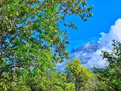 Kundasang Land Mt Kinabalu View | NT 3.3 Acres | Mesilau Ranau Nabalu