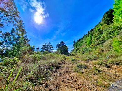 Kundasang Land Mt Kinabalu View | NT 3.3 Acres | Mesilau Ranau Nabalu