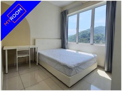 Gorgeous! 中房出租 Medium Room Rent at Bayan Lepas Near Factory @Myroom