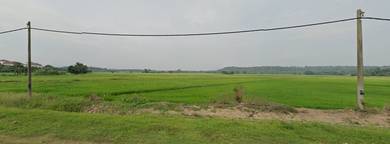 Agricultural-Land-for-sale-Jitra-Kedah-3