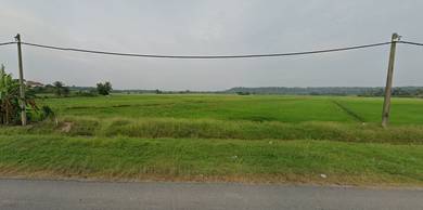 Agricultural-Land-for-sale-Jitra-Kedah-2