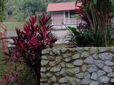 [ Dekat Villa ] Tanah Pertanian Sungai Samak , Rimba Templer , Rawang