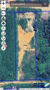 Agricultural-Land-for-sale-Kapar-Selangor